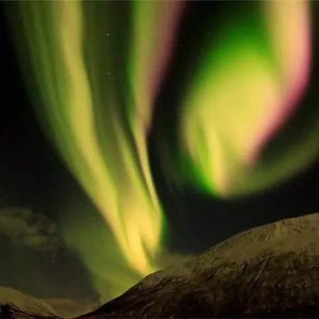 Haraldvollen Red Cross Center Alojamento de Turismo Selvagem