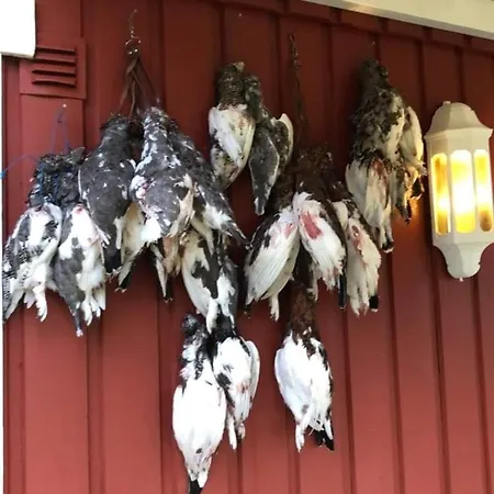 Haraldvollen Red Cross Center Alojamento de Turismo Selvagem