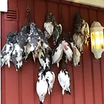 Haraldvollen Red Cross Center Domek letniskowy